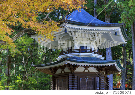 高野山　紅葉 71909072