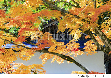 高野山 紅葉 高野山 紅葉 71909126