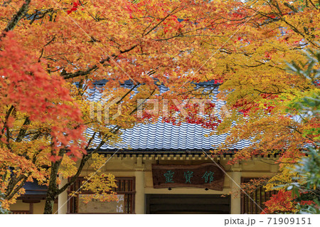 高野山 紅葉 高野山 紅葉 71909151