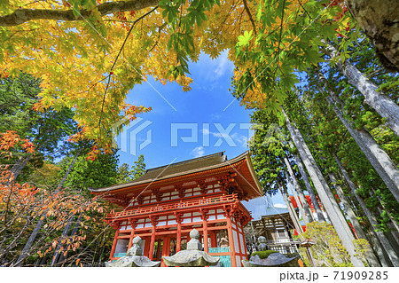 高野山 紅葉 高野山 紅葉 71909285