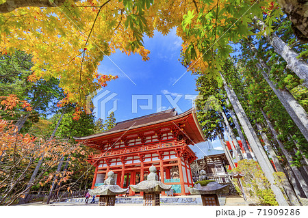 高野山 紅葉 高野山 紅葉 71909286