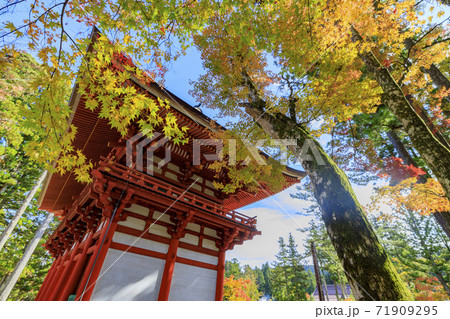 高野山 紅葉 高野山 紅葉 71909295