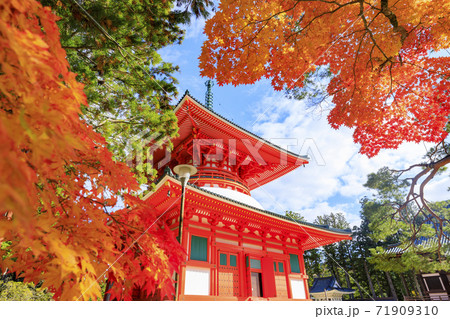 高野山 紅葉 高野山 紅葉 71909310