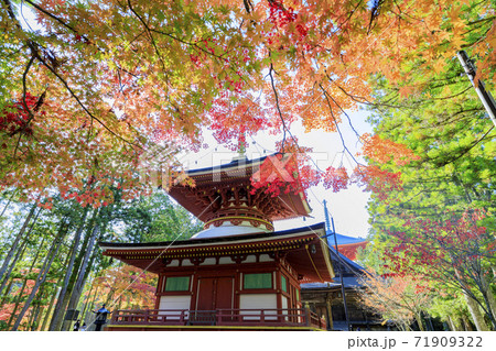 高野山 紅葉 高野山 紅葉 71909322