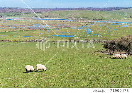 Cuckmere Haven, Seaford, England 71909478