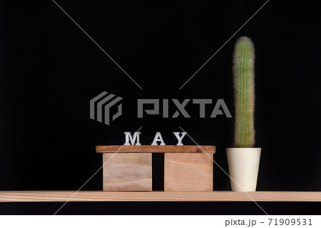 Wooden calendar of May and cactus on black background. Mock up Wooden calendar of May and cactus on black background. Mock up 71909531