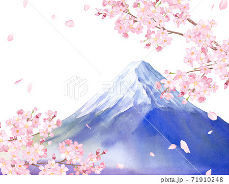 春の花 桜と富士山の景色 水彩イラスト 白背景 のイラスト素材