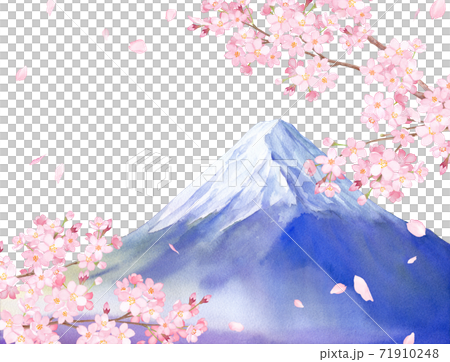 春の花 桜と富士山の景色 水彩イラスト 白背景 のイラスト素材