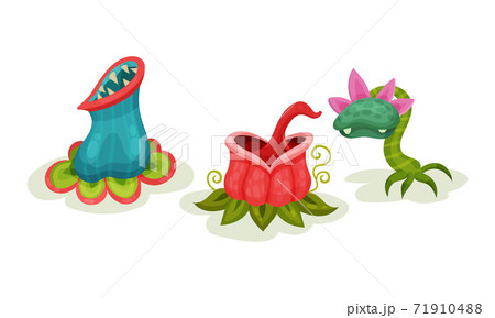 Carnivore Plants Or Monster Flowers As のイラスト素材