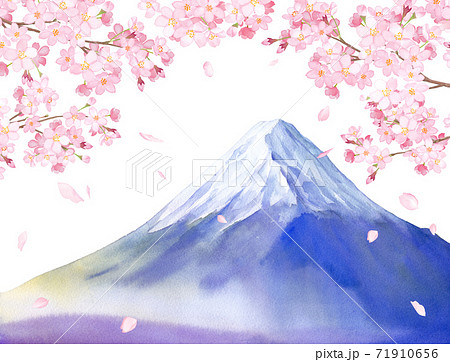 春の花 桜と富士山の景色 水彩イラスト 白背景 のイラスト素材