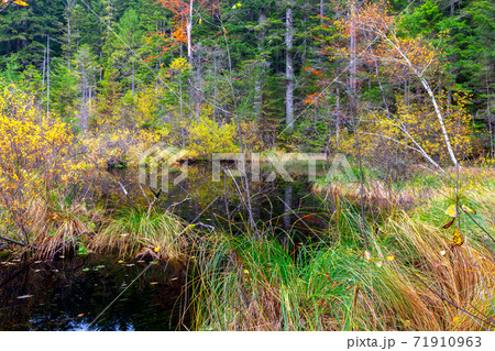 Carpathians. Crane Lake. Carpathians. Crane Lake. 71910963