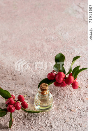 A bottle of essential oil with wintergreen twigs with copy space 71911607