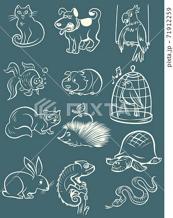 Wild animals. Sketch edition. 22 PNG – MasterBundles