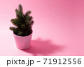 Small decorative Christmas tree on a pink background. 71912556