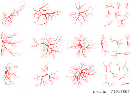 Vein set illustration isolated on white background. Collection of human blood system graphic. Red vessel, arteries design. Anatomical icon group. Vector shape of artery. Eps 10 abstract symbols. 71912867