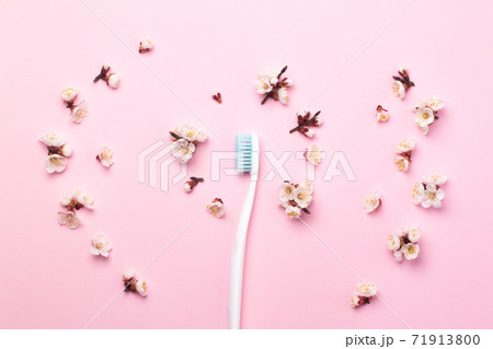 White toothbrush with blue bristles on a pink paper background decorated with spring flowers. White toothbrush with blue bristles on a pink paper background decorated with spring flowers. 71913800