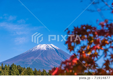 【道の駅朝霧高原からの富士山と紅葉】 71914877