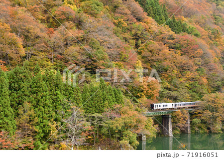 紅葉の磐越西線を走る列車 71916051