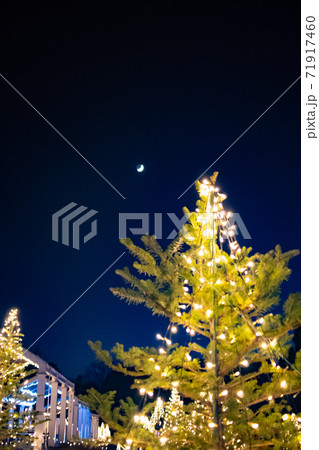 クリスマスツリーのイルミネーションと三日月 71917460