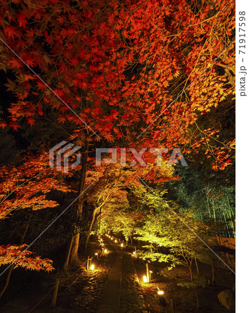【京都】寺院の参道 紅葉ライトアップ 71917598