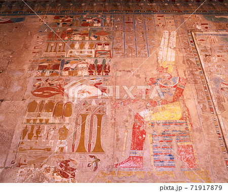 ハトシェプスト女王葬祭殿の捧げ物をするアメン神のレリーフ 71917879