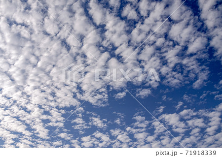 うろこ雲が広がる秋空【巻積雲】 うろこ雲が広がる秋空【巻積雲】 71918339