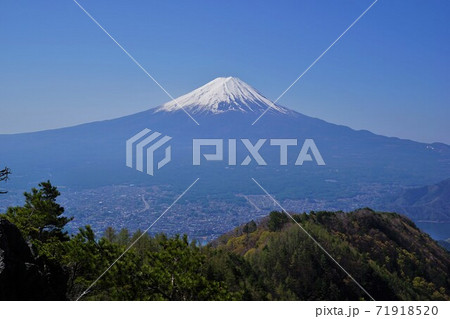 御坂黒岳からの残雪の富士山 御坂黒岳からの残雪の富士山 71918520