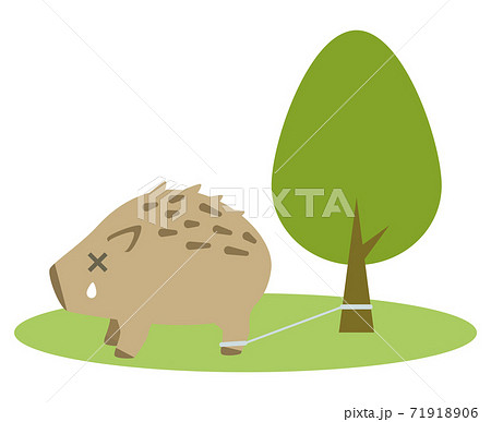 イノシシ くくり罠のイラスト素材