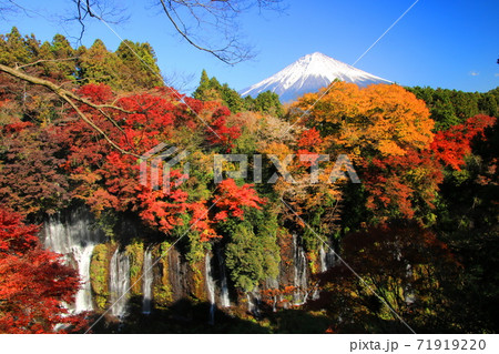 静岡県白糸の滝 秋の紅葉と富士山 静岡県白糸の滝 秋の紅葉と富士山 71919220