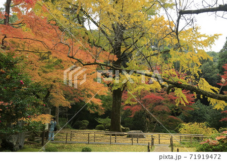 みやま市 清水山 紅葉、 みやま市 清水山 紅葉、 71919472