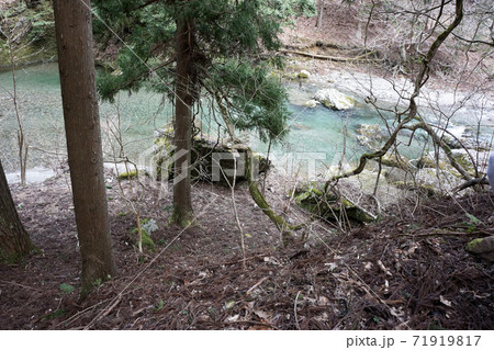芦生の森の中から川を見下ろした景色 71919817