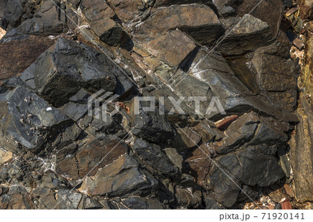 Closeup of wet rock surface near the Indian ocean 71920141