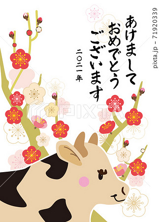梅の花と横を向いている丑の年賀状 71920339