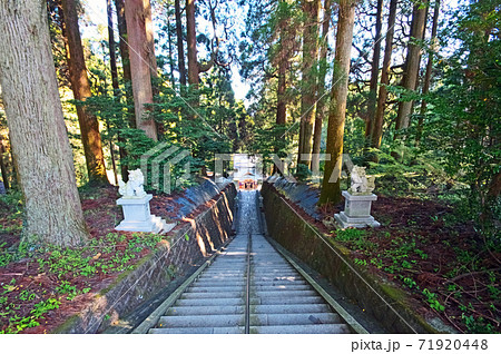 日本三大下り宮熊本県草部吉見神社参道 日本三大下り宮熊本県草部吉見神社参道 71920448