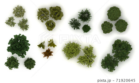 Various trees from top view 71920645