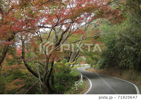 みやま市　清水山　紅葉、 71920647