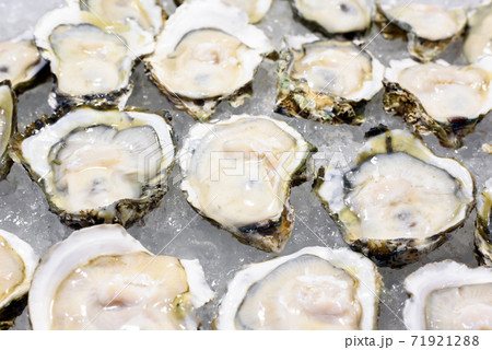 Opened fresh oysters on ice Opened fresh oysters on ice 71921288