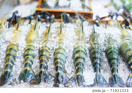 Fresh shrimp on ice , blue river lobster Fresh shrimp on ice , blue river lobster 71921323