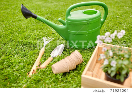 garden tools and flowers in wooden box at summer garden tools and flowers in wooden box at summer 71922004