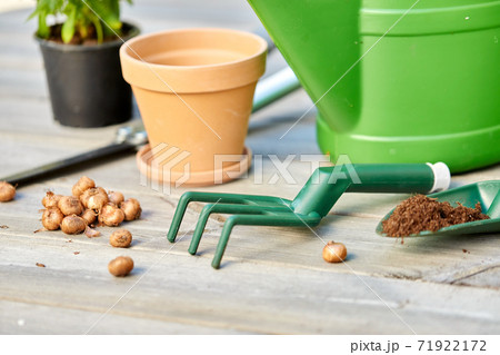 garden tools and flowers on wooden terrace garden tools and flowers on wooden terrace 71922172