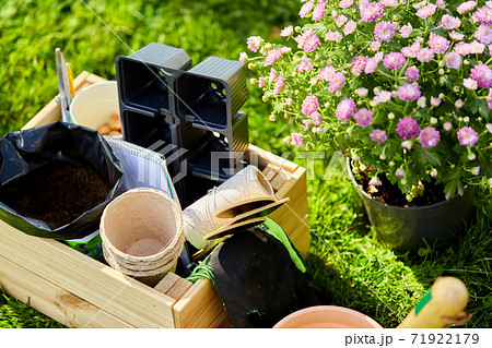 garden tools in wooden box at summer garden tools in wooden box at summer 71922179