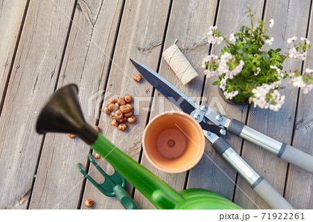 garden tools and flowers on wooden terrace garden tools and flowers on wooden terrace 71922261