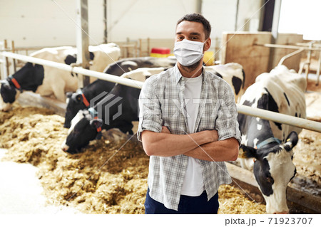 male farmer in mask with cows on dairy farm 71923707