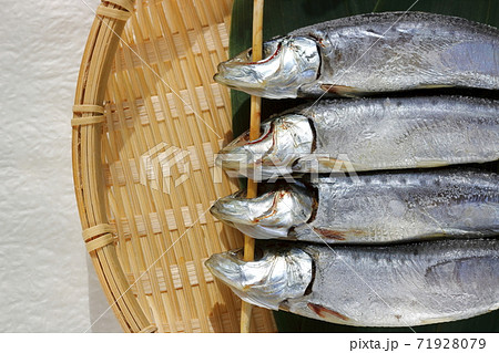 目刺し　イワシの干物 71928079