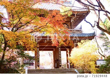 功山寺の楼門と紅葉の写真素材