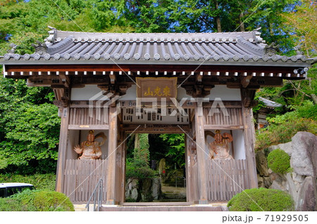 西国三十三観音霊場 番外  花山院菩提寺 西国三十三観音霊場 番外  花山院菩提寺 71929505