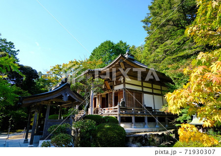 西国三十三観音霊場 番外 花山院菩提寺 西国三十三観音霊場 番外 花山院菩提寺 71930307