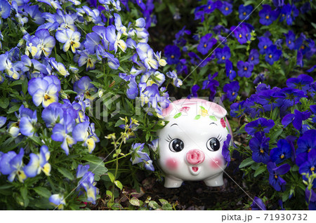 花畑と豚の貯金箱 花畑と豚の貯金箱 71930732