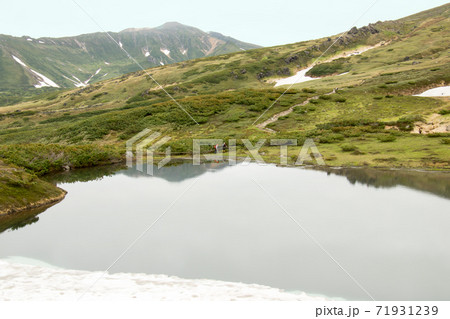 北海道　大雪山国立公園　旭岳鏡池と登山者 71931239