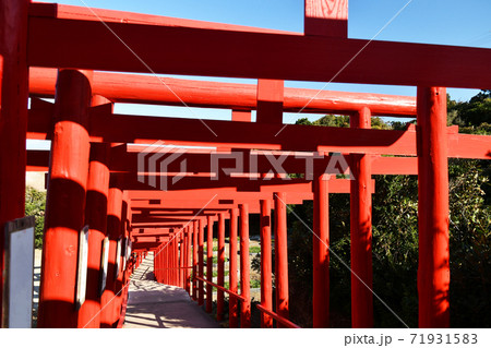 元乃隅神社の赤い鳥居 71931583